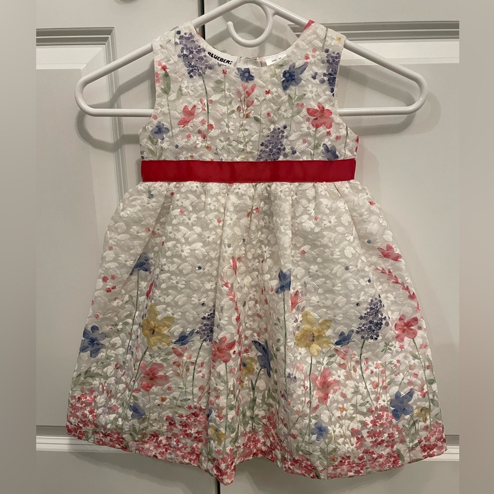 Girls Blueber Spring dress. Size 3T